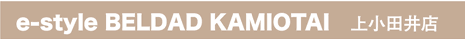 e-style BELDAD KAMIOTAI�@�㏬�c��X